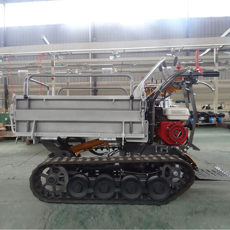 LG500B Mini Crawler Dumper